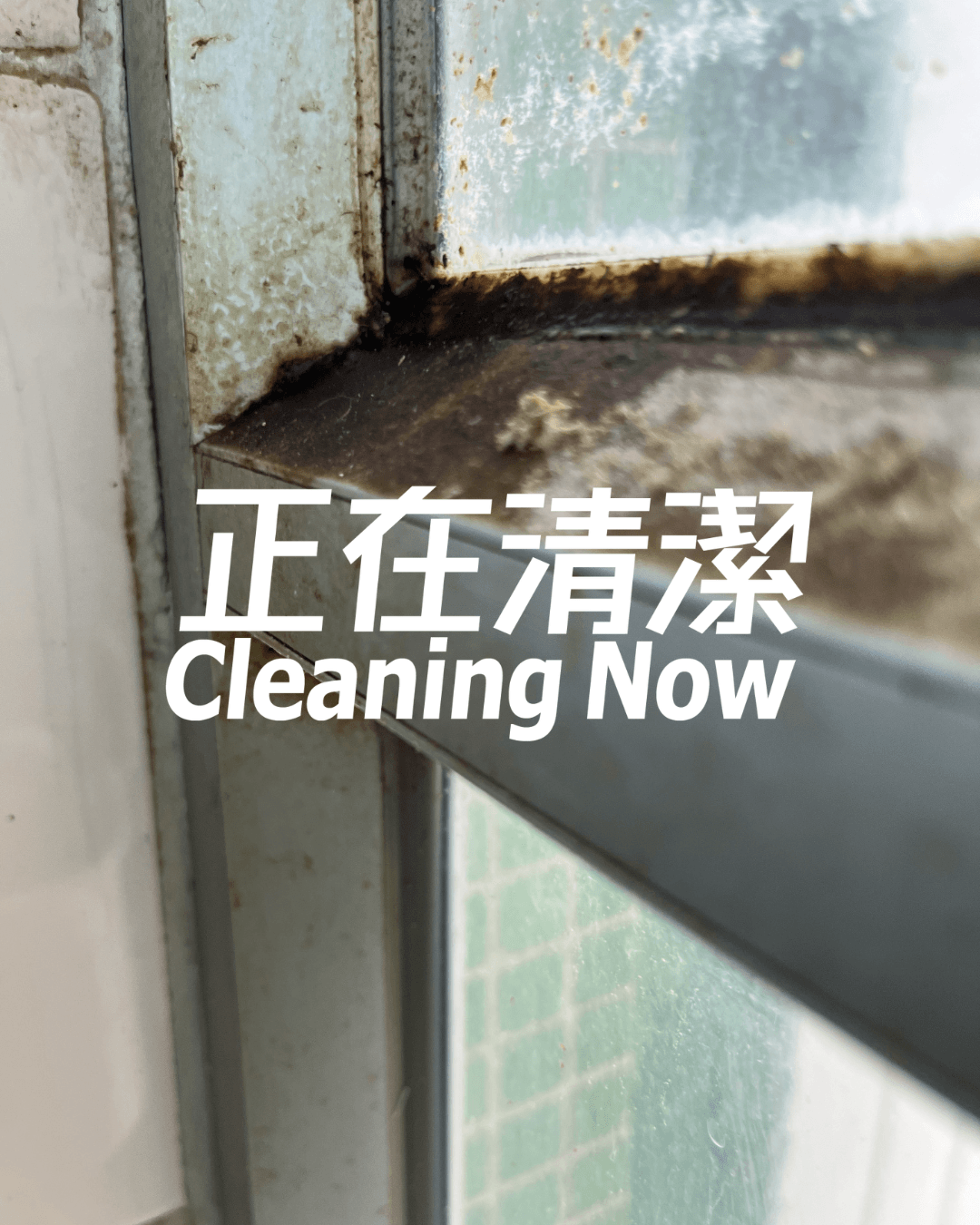除霉服務 家居除霉