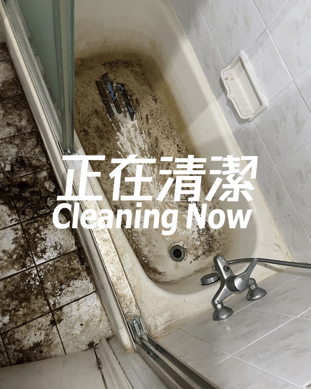 除霉服務 家居除霉